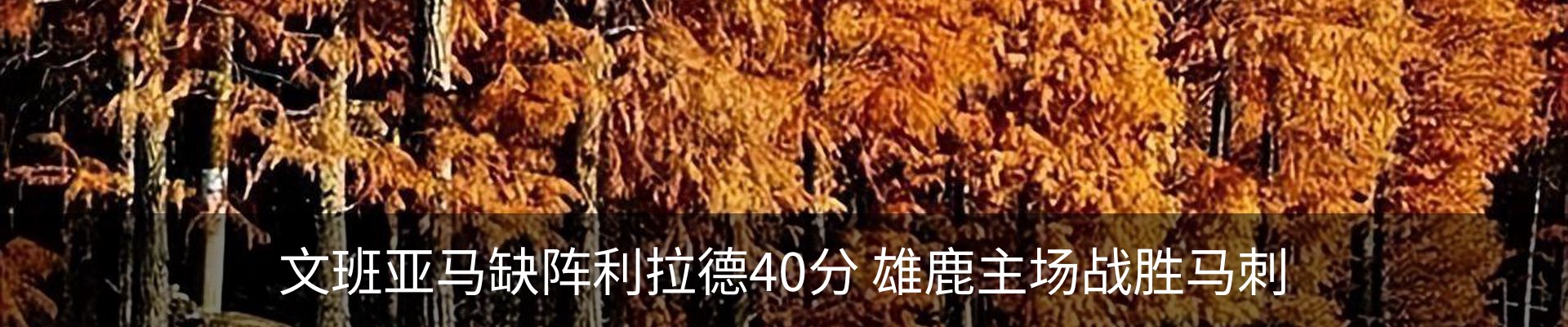 最新动态